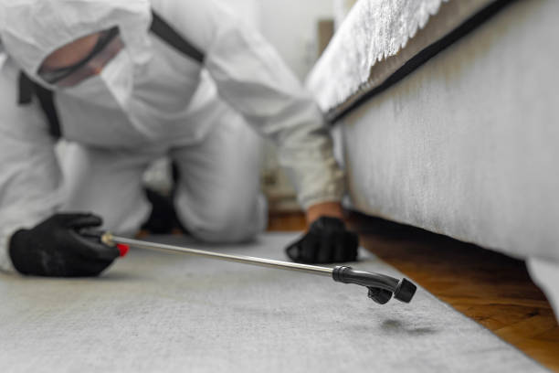 Professional Bed Bug Control technician working in Lincoln Parish County, LA
